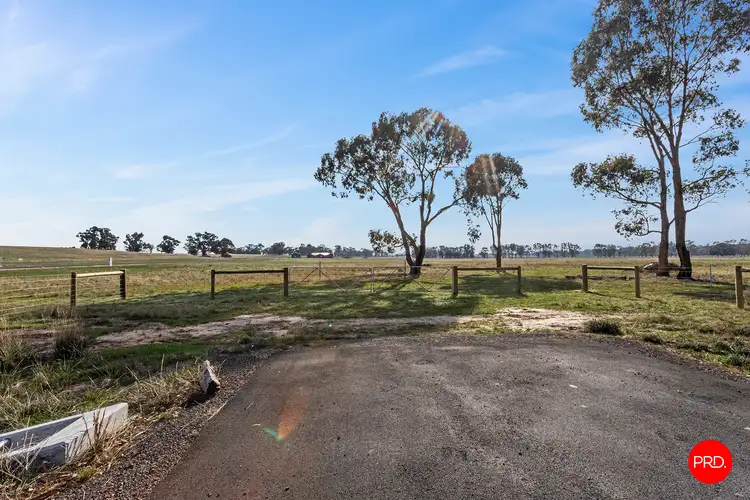Sixth view of Homely land listing, 295 Pethericks Road, Goornong VIC 3557