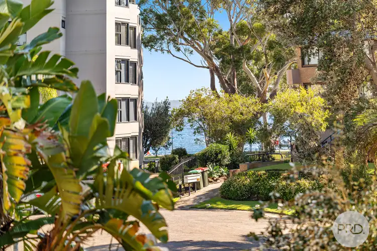 Fifth view of Homely apartment listing, 2/5 Columbia Close, Nelson Bay NSW 2315