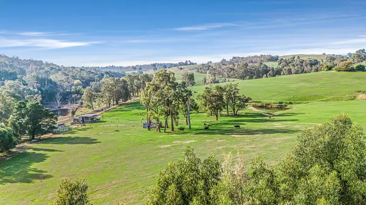 Sixth view of Homely rural property listing, 64 Bowman Road (Charley Creek), Donnybrook WA 6239