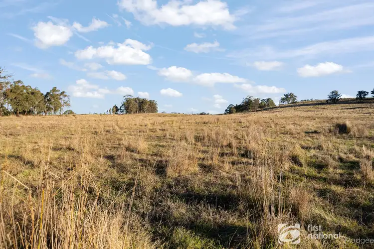 Second view of Homely rural property listing, 1513 Nullo Mountain Road, Rylstone NSW 2849