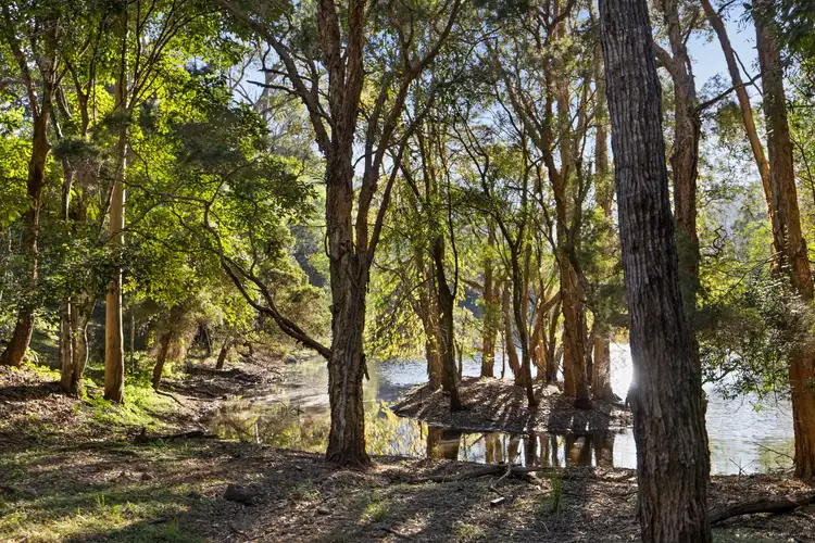 Fourth view of Homely rural property listing, 768 Upper Brookfield Road, Upper Brookfield QLD 4069