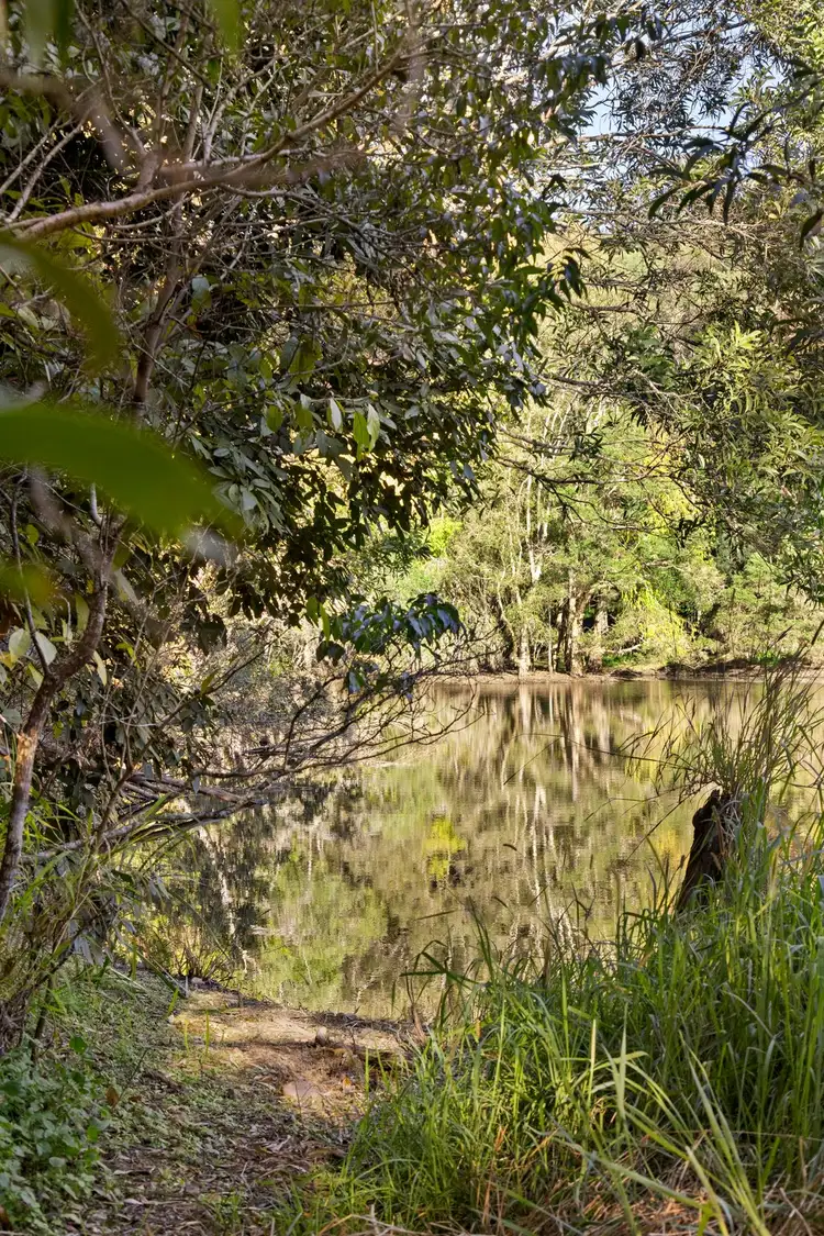 Fifth view of Homely rural property listing, 768 Upper Brookfield Road, Upper Brookfield QLD 4069