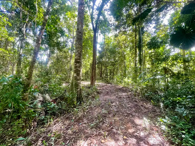 Lot 150 Wattle Close, Cow Bay, Daintree QLD 4873
