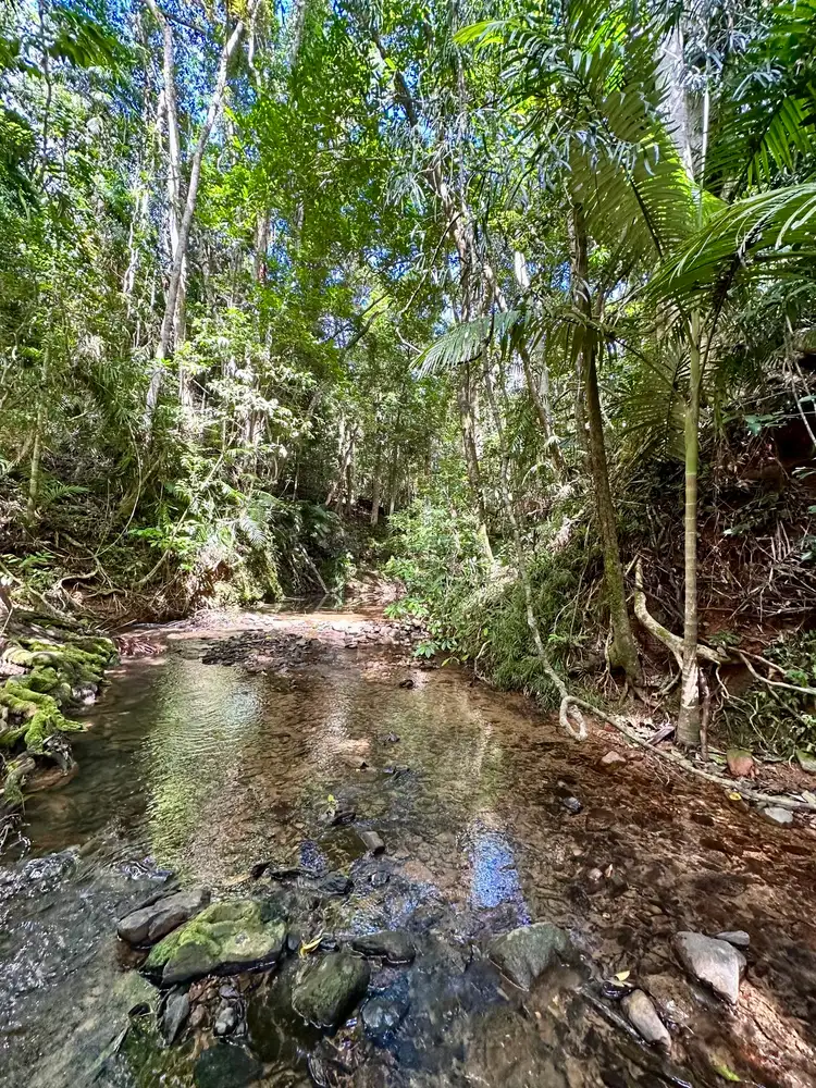 Second view of Homely land listing, Lot 150 Wattle Close, Cow Bay, Daintree QLD 4873