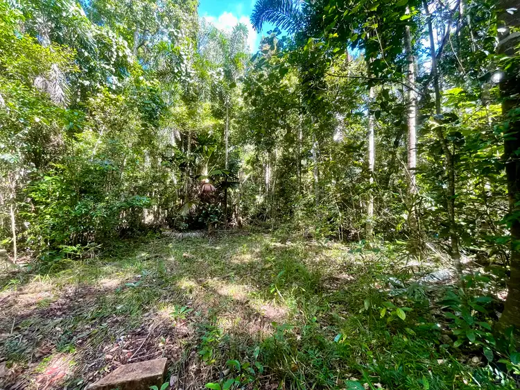 Third view of Homely land listing, Lot 150 Wattle Close, Cow Bay, Daintree QLD 4873