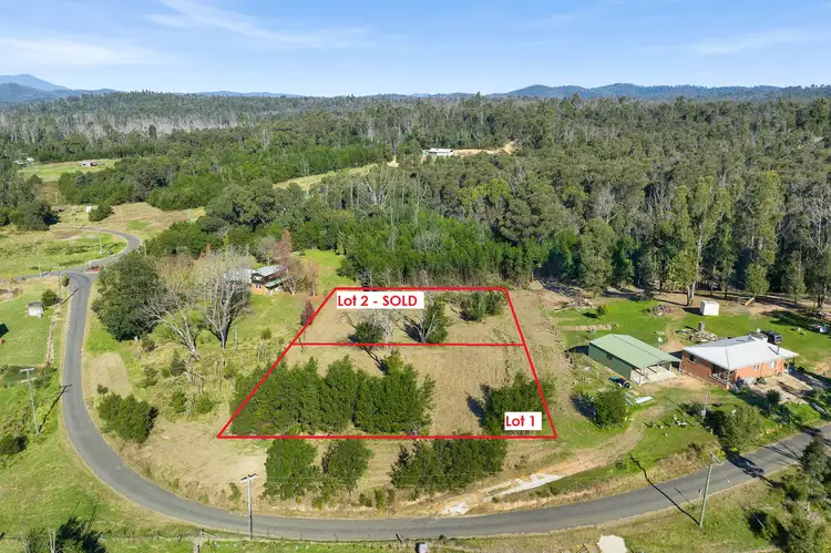 Main view of Homely land listing, LOT 1 Byrnes Street, Nerrigundah NSW 2545