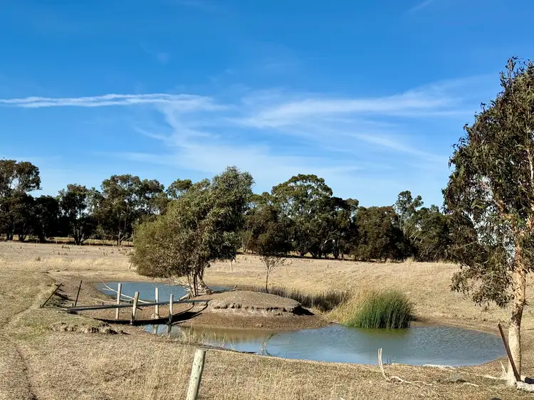 Sixth view of Homely rural property listing, 45 Moyhall Road, Naracoorte SA 5271