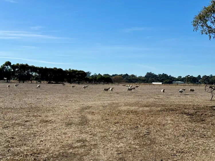 Seventh view of Homely rural property listing, 45 Moyhall Road, Naracoorte SA 5271