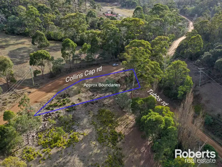 LOT 8 Collins Cap Road, Molesworth TAS 7140