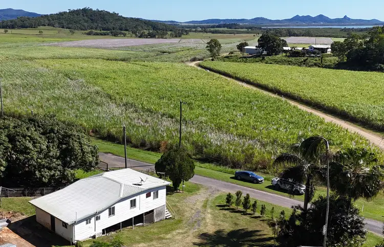 157 Olletts Road, Habana QLD 4740