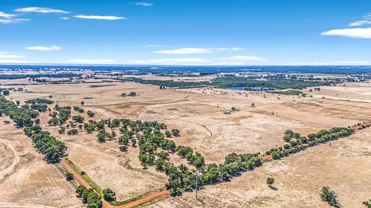 Main view of Homely rural property listing, 356 Penn Street, Boyanup WA 6237