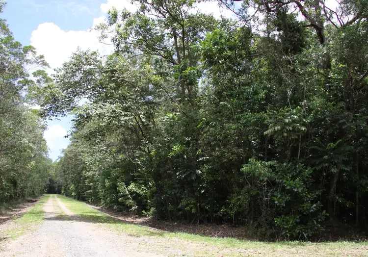 Main view of Homely land listing, Lot 192 Cedar Road, Cow Bay, Daintree QLD 4873