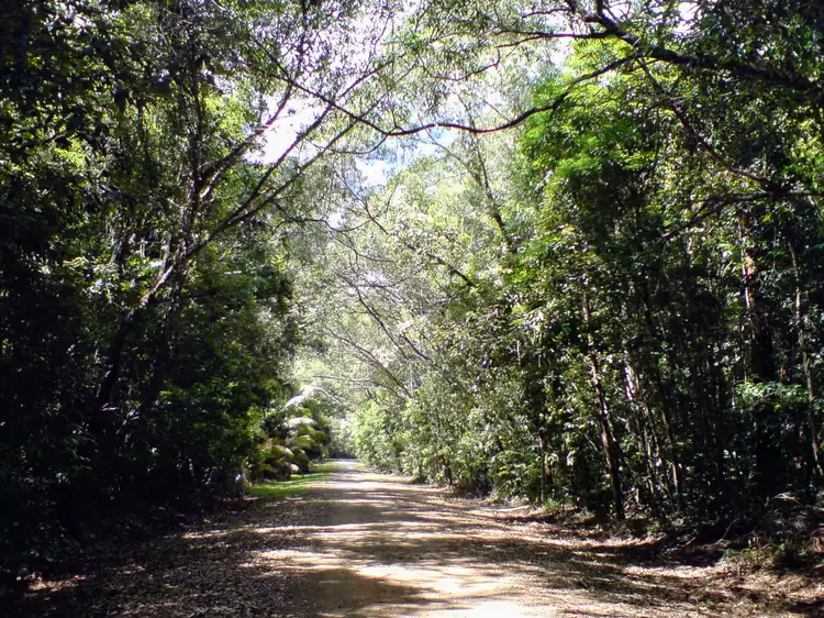 Second view of Homely land listing, Lot 192 Cedar Road, Cow Bay, Daintree QLD 4873