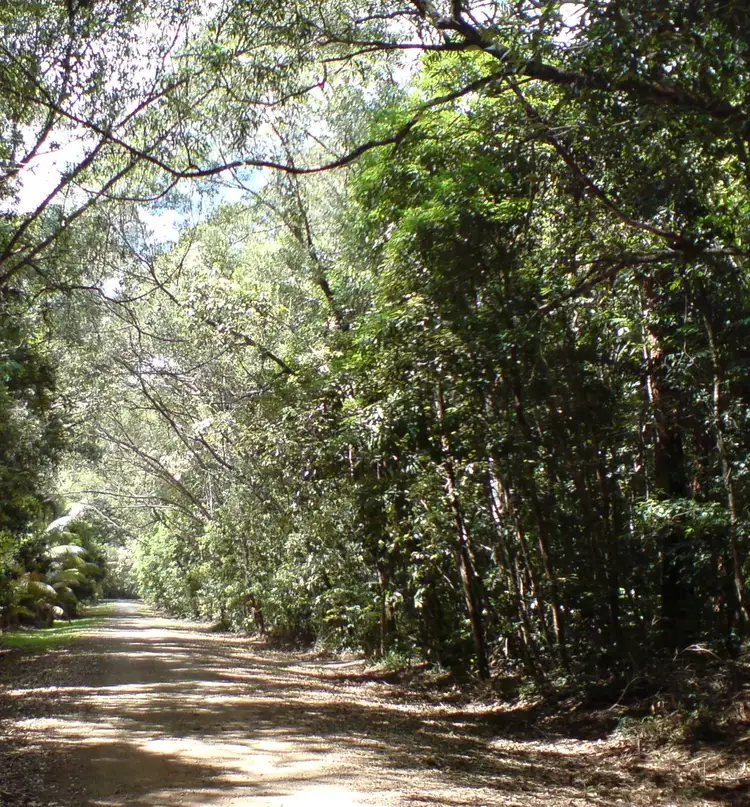 Sixth view of Homely land listing, Lot 192 Cedar Road, Cow Bay, Daintree QLD 4873