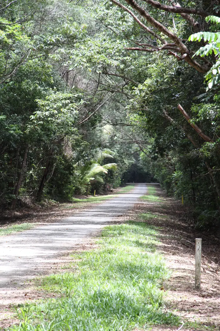 Seventh view of Homely land listing, Lot 192 Cedar Road, Cow Bay, Daintree QLD 4873
