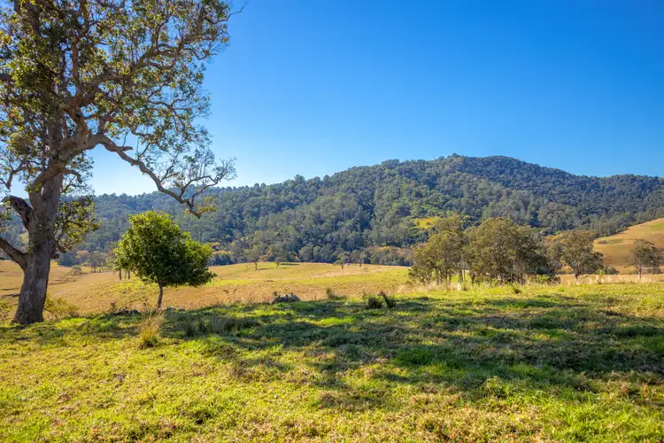 Third view of Homely rural property listing, 834 Bakers Creek Road, Bakers Creek NSW 2422