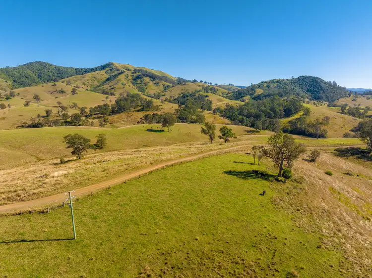 Fourth view of Homely rural property listing, 834 Bakers Creek Road, Bakers Creek NSW 2422
