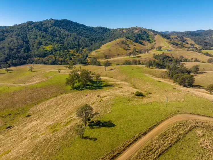 Sixth view of Homely rural property listing, 834 Bakers Creek Road, Bakers Creek NSW 2422