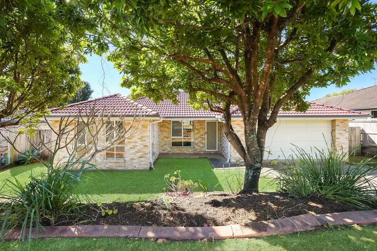 Main view of Homely house listing, 17 Jaxson Terrace, Pimpama QLD 4209