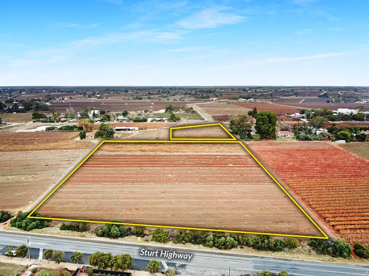 Main view of Homely rural property listing, Section 320 Sturt Highway, Barmera SA 5345