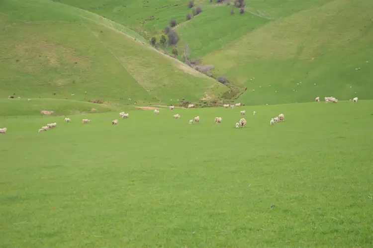 Third view of Homely rural property listing, 135A Baker Road, Krowera VIC 3945