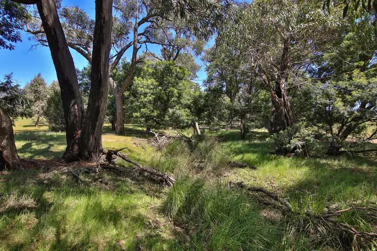 Sixth view of Homely rural property listing, 3216 Ararat-Halls Gap Road, Pomonal VIC 3381