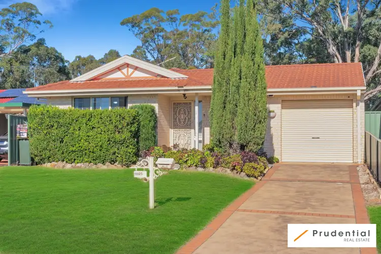 25 Wilkinson Crescent, Ingleburn NSW 2565
