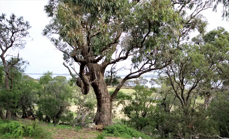 Third view of Homely house listing, 35 Roberts Road, Leschenault WA 6233