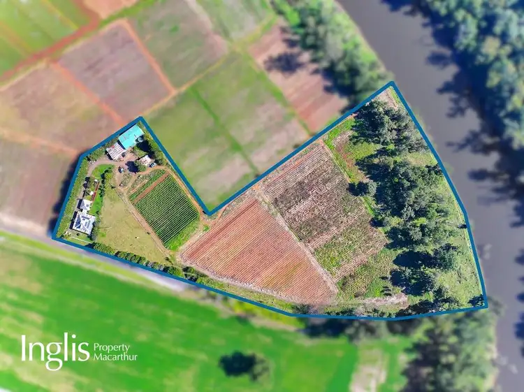 Second view of Homely house listing, 309 Ellis Lane, Ellis Lane NSW 2570
