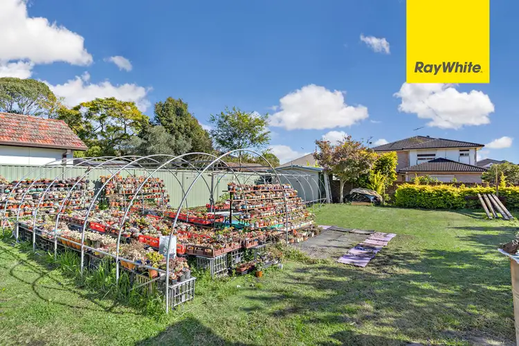 Seventh view of Homely house listing, 51 Jellicoe Street, Lidcombe NSW 2141