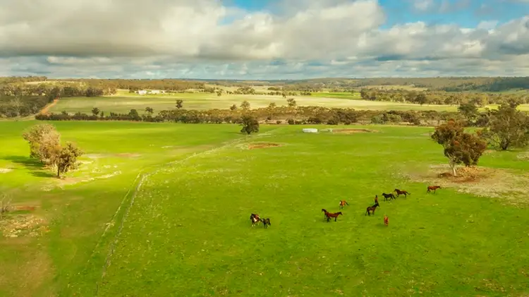 Fourth view of Homely rural property listing, 486 Corser Road, Wandering WA 6308