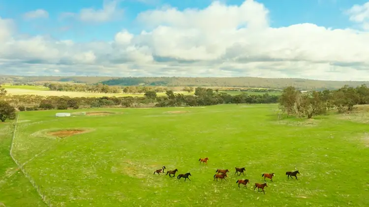 Fifth view of Homely rural property listing, 486 Corser Road, Wandering WA 6308