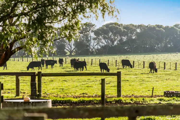 Second view of Homely rural property listing, 130 Swamp Road, Catani VIC 3981