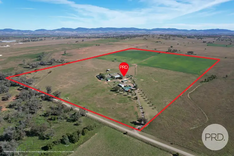 Second view of Homely rural property listing, 42 Jenners Lane, Tamworth NSW 2340