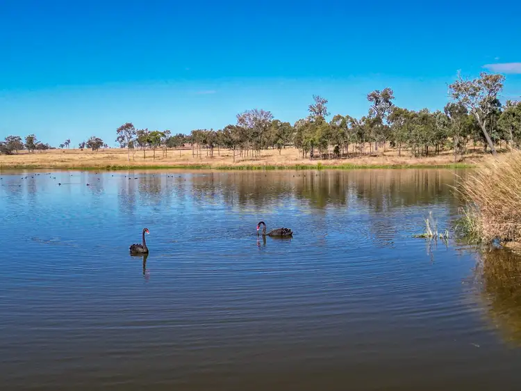 Second view of Homely rural property listing, 1142 Mount Walker West Road, Mount Walker West QLD 4340