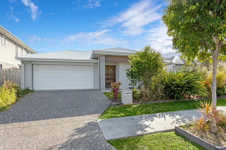 49 Apollo Street, Newport QLD 4020