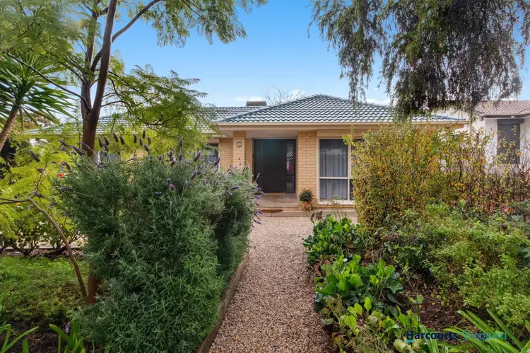 12 Phoebe Avenue, Modbury Heights SA 5092