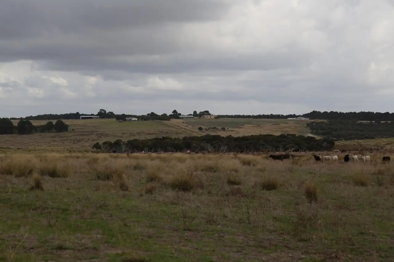 Main view of Homely rural property listing, Lot 4 Hicks Road, Myrup WA 6450