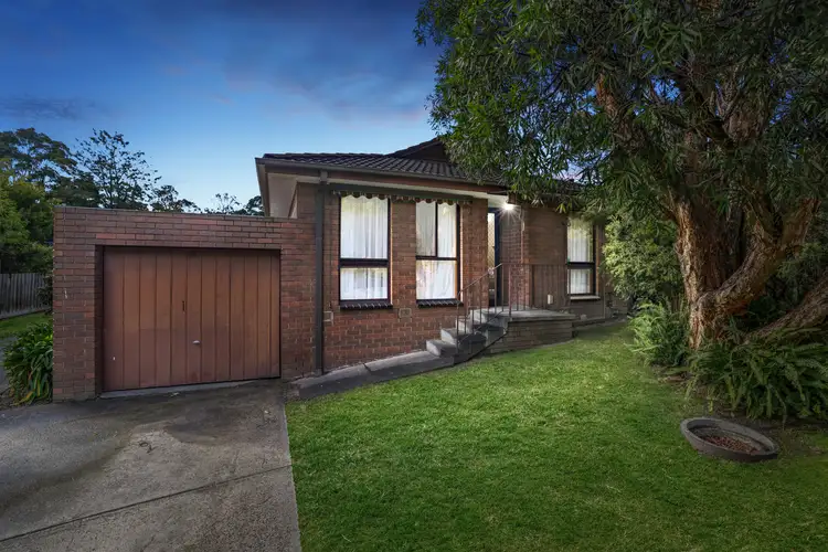 1/13 Halsey Street, Ferntree Gully VIC 3156