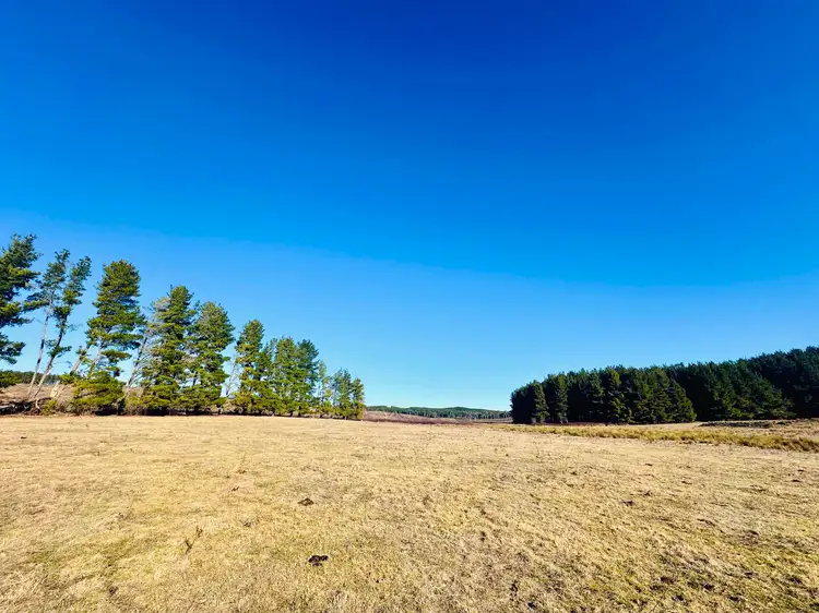 Sixth view of Homely rural property listing, 233 Logans Road, Tumbarumba NSW 2653
