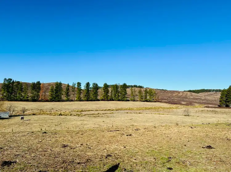 Seventh view of Homely rural property listing, 233 Logans Road, Tumbarumba NSW 2653