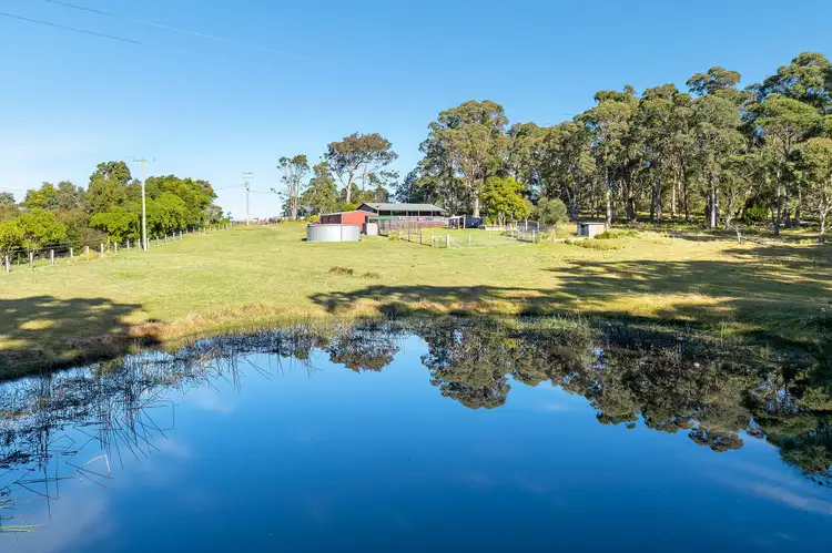 445 Bingie Road, Bingie NSW 2537