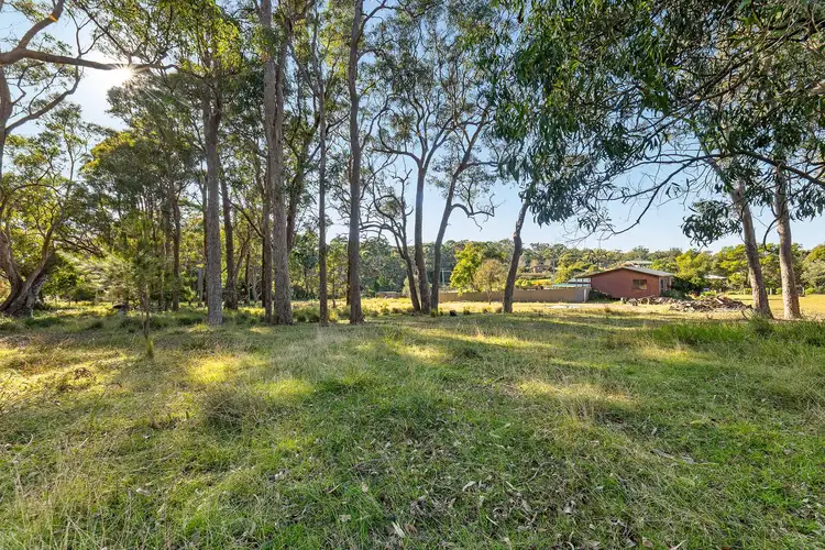 Third view of Homely house listing, 445 Bingie Road, Bingie NSW 2537