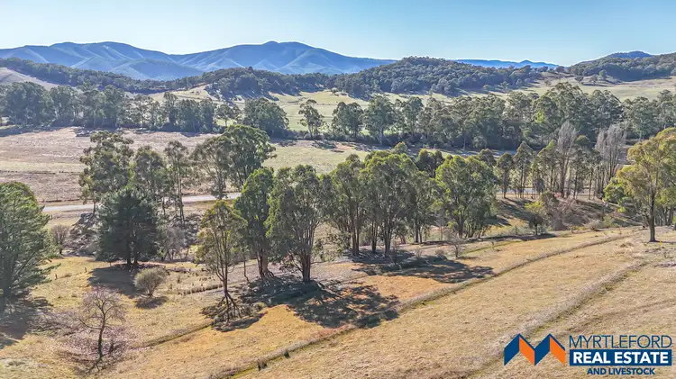 Seventh view of Homely land listing, LOT 2, 564 Buffalo Creek Road, Myrtleford VIC 3737