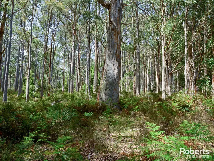 Sixth view of Homely land listing, LOT 1 Marriotts Road, Ellendale TAS 7140