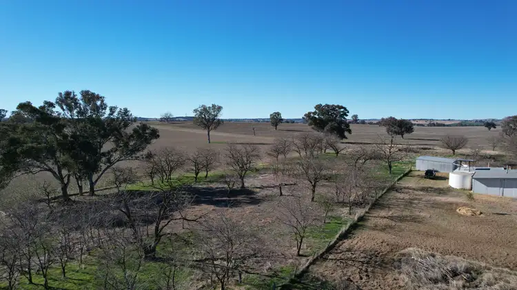 Fifth view of Homely rural property listing, 70 Davidson Lane, Holbrook NSW 2644