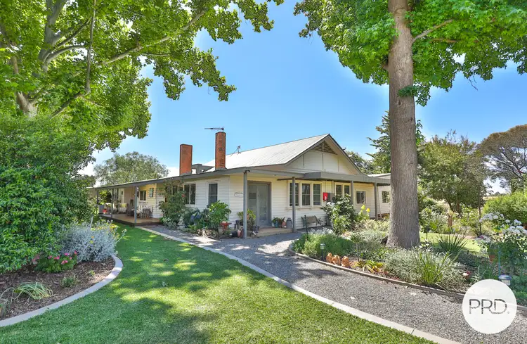 Main view of Homely house listing, 24 Dacelo Avenue, Red Cliffs VIC 3496