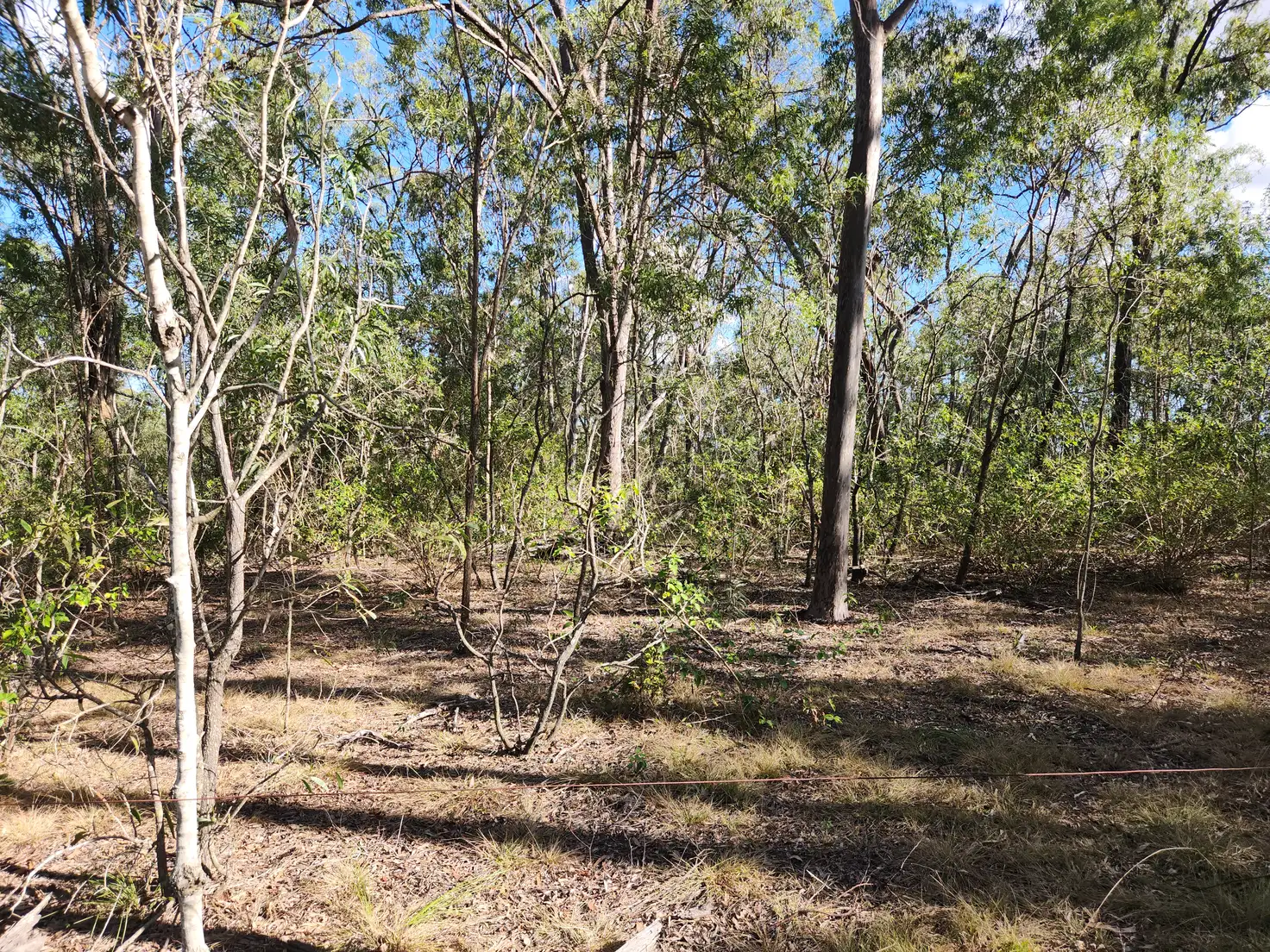 Main view of Homely land listing, Lot 5 Duckpond Road, Moolboolaman QLD 4671