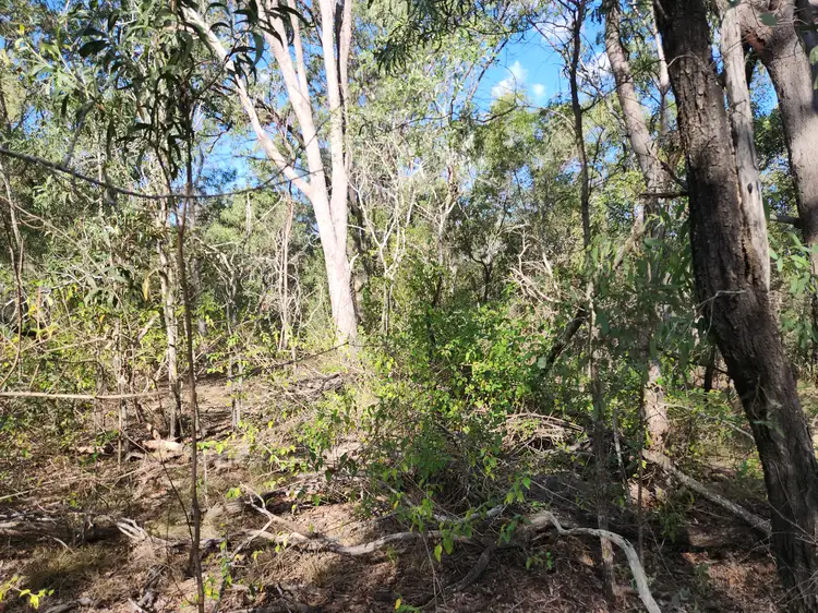 Seventh view of Homely land listing, Lot 5 Duckpond Road, Moolboolaman QLD 4671