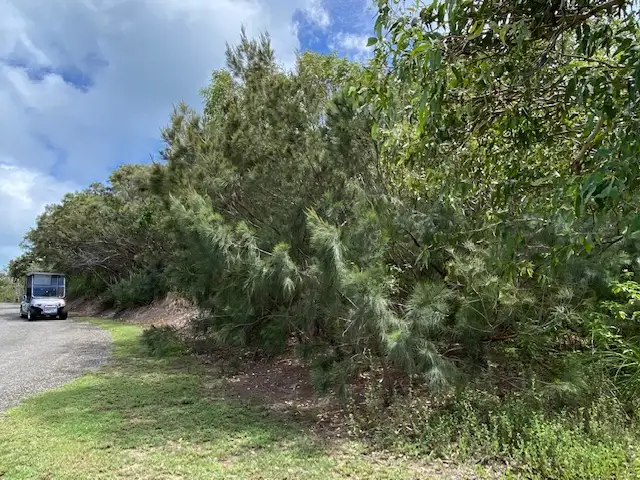 Fourth view of Homely land listing, Lot DN Basil Bay Precinct, Keswick Island, Mackay QLD 4740